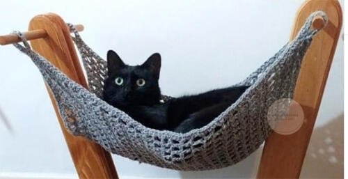 suporte gato_bytaninha _madeira 